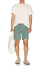 view 6 of 6 Conway Boardshort in Green