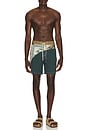 view 3 of 5 SHORTS PLAYEROS in Green & Brown