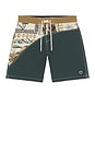 view 4 of 5 SHORTS PLAYEROS in Green & Brown