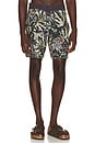 view 1 of 5 Lakeshore Boardshort in Camo