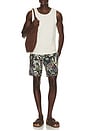 view 3 of 5 Lakeshore Boardshort in Camo