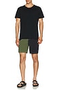 view 7 of 7 Aliso Boardshort in Olive