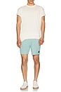 view 7 of 7 Aliso Boardshort in Turquoise