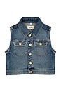 view 1 of 4 Manning Toddler Vest in Lakewood