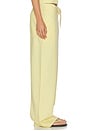 view 3 of 6 Sienna Low Slung Relaxed Wide Leg Pants in Prosecco Aura