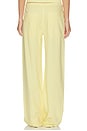 view 4 of 6 Sienna Low Slung Relaxed Wide Leg Pants in Prosecco Aura