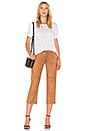 view 4 of 4 Suede Cropped Pant in Camel