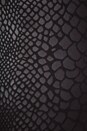view 8 of 8 Side Zip Legging in Python