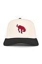 view 2 of 3 Horse Cap in Cream & Red
