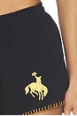 view 6 of 6 Rodeo Heavy Jersey Short in Midnight