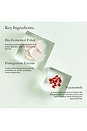 view 4 of 8 RESURFACING ENZYME POLISH リサーフェシングエンザイムポリッシュ in 