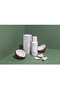 view 6 of 6 NETTOYANT EXFOLIANT BOTANICAL in 
