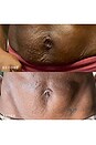 view 5 of 7 Belly & Body Occlusion Patch in 