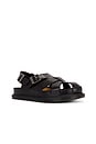 view 2 of 5 San Archive Fisherman Sandals in Dark Brown