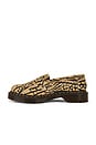 view 6 of 7 Wild Mohwalk Refined Loafer in Teak & Black