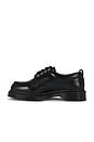 view 5 of 5 Hair On Lowell Shoe in Black