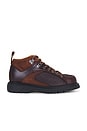 view 1 of 5 Alp Boot Lace Up Boot in Dark Brown