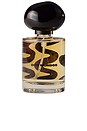 view 2 of 6 Saoco Jazz Eau De Parfum in 
