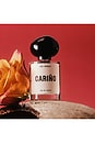 view 4 of 6 AGUA DE PERFUME CARI?O in 