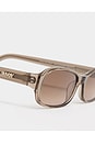 view 4 of 5 Juno Sunglasses in Transparent Oyster