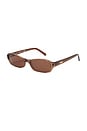 view 2 of 5 Juno Sunglasses in Transparent Brown