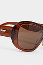 view 4 of 5 Nina Sunglasses in Transparent Rust