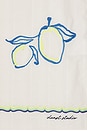 view 5 of 5 Hand Drawing Open Collared Shirt in Lemon Garden