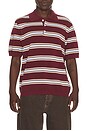 view 1 of 5 Multi Striped Polo in Burgundy & Sky Blue