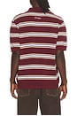 view 2 of 5 Multi Striped Polo in Burgundy & Sky Blue