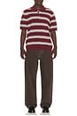 view 3 of 5 Multi Striped Polo in Burgundy & Sky Blue