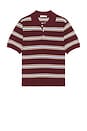 view 4 of 5 Multi Striped Polo in Burgundy & Sky Blue