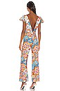 view 3 of 3 Jenny Jumpsuit in Brown Flower