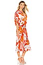 view 2 of 3 Bernadette Dress in Lorem Orange