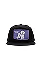 view 1 of 3 CASQUETTE DE BASEBALL BICHON FRISE in Black
