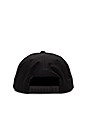 view 3 of 3 CASQUETTE DE BASEBALL BICHON FRISE in Black
