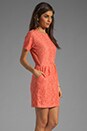 view 3 of 6 Sarus Raised Lace Short Sleeve Dress in Coral