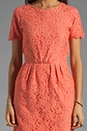 view 5 of 6 Sarus Raised Lace Short Sleeve Dress in Coral