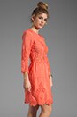 view 3 of 6 Valentina Petticoat Embroidery Long Sleeve Dress in Melon