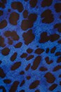view 5 of 5 Manie Colored Leopard Tank in Blue