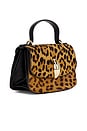 view 4 of 5 Lucia Bag in Leopard