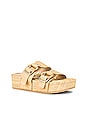view 2 of 5 Cici Slides in Raffia