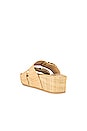 view 3 of 5 Cici Slides in Raffia