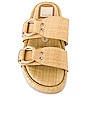 view 4 of 5 Cici Slides in Raffia