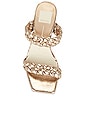 view 4 of 5 Paily Sandal in Dark Gold Crackled Stella