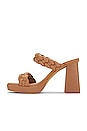 view 5 of 5 Ashby Sandal in Caramel Stella