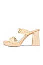 view 5 of 5 Ashby Sandal in Light Natural Raffia