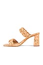 view 5 of 5 Paily Sandal in Cork Stella