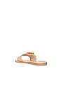 view 3 of 5 NU-PIED DASA in Warm Natural Raffia