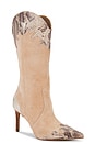 view 2 of 5 САПОГИ KASEDY in Taupe
