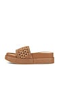 view 5 of 5 SANDALIA SIDONA in Brown Raffia